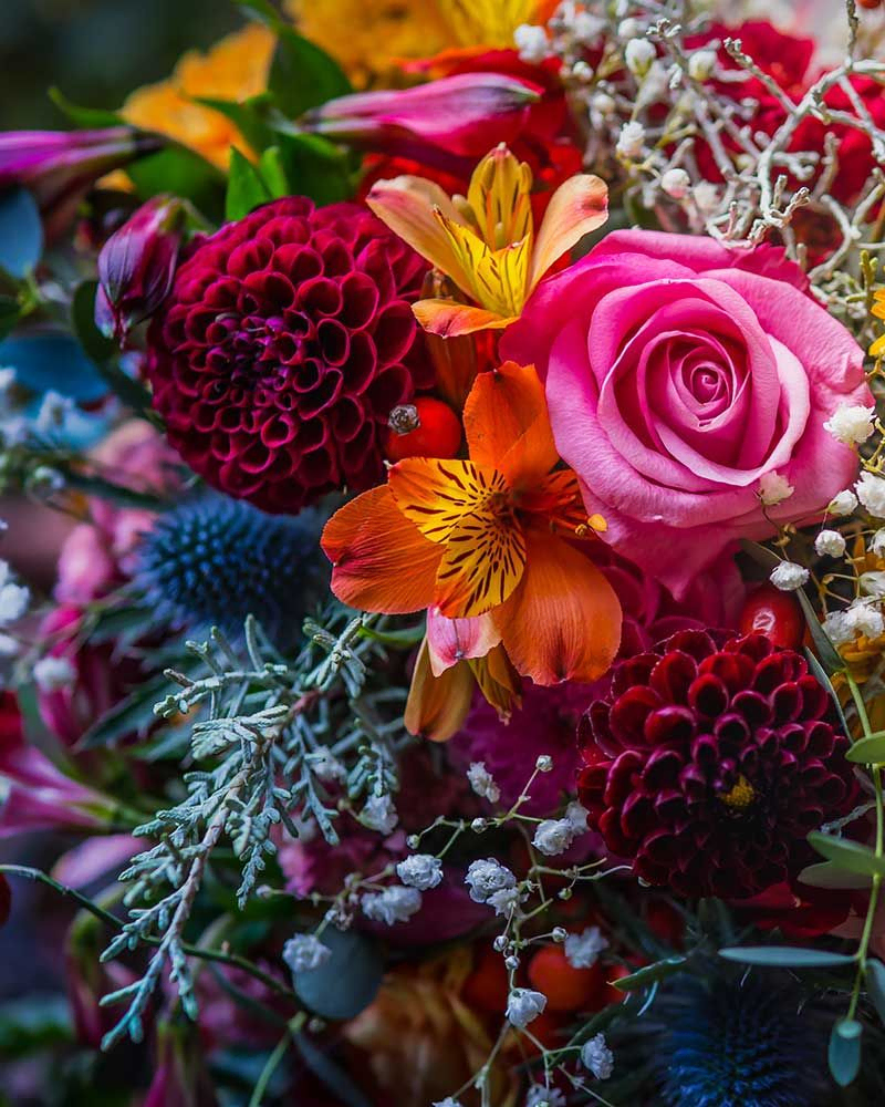 Wunderschönes, lebendiges, farbenfrohes Stillleben-Detail mit gemischtem Blumenstrauß