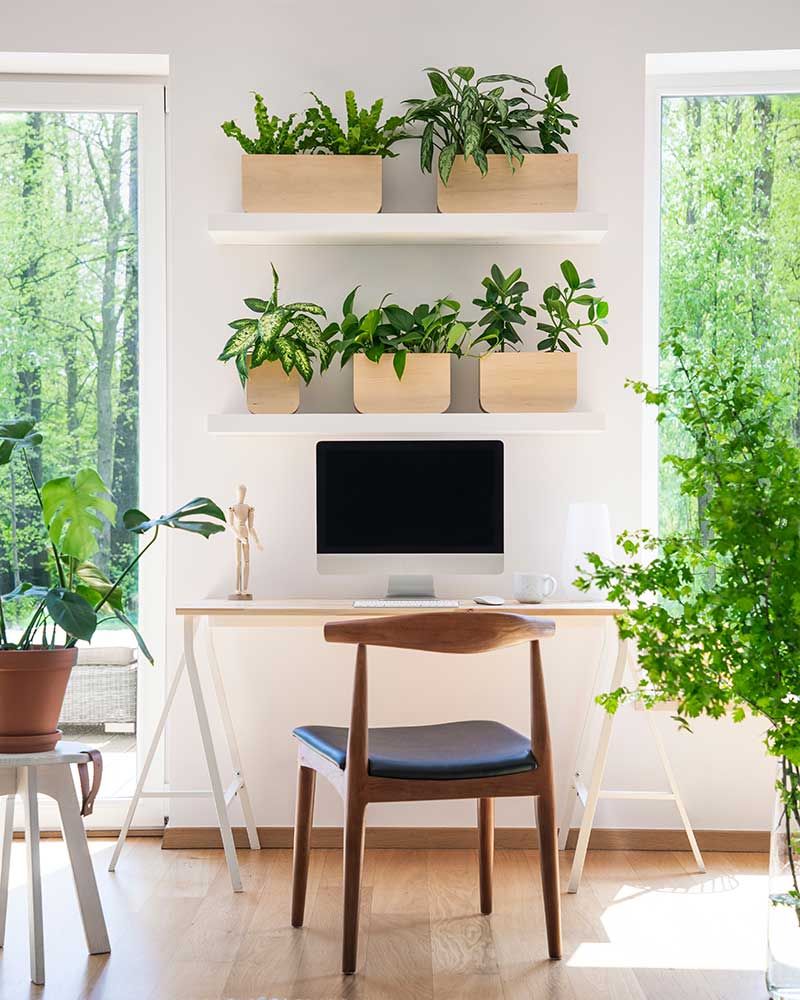 Regale mit frischen Pflanzen hängen über einem Holzschreibtisch mit leerem Bildschirm in einem echten Foto des weißen Wohnzimmerinterieurs